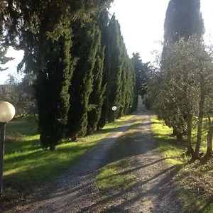 Sunshine , Florence Italy